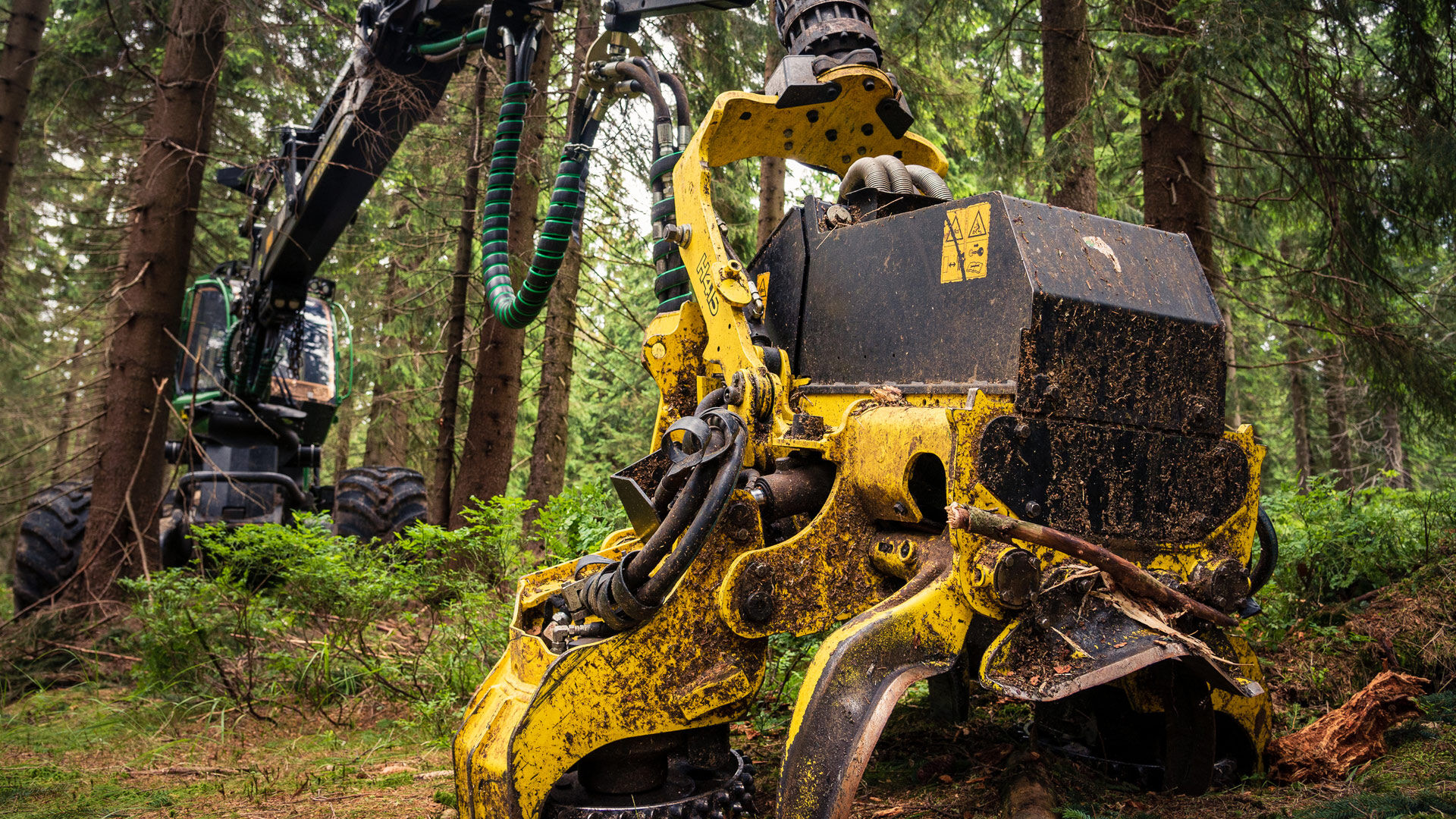 Agricultural technology Forestry technology Agricultural technology Forestry technology